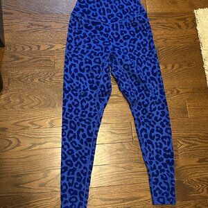 Blue Cheetah
